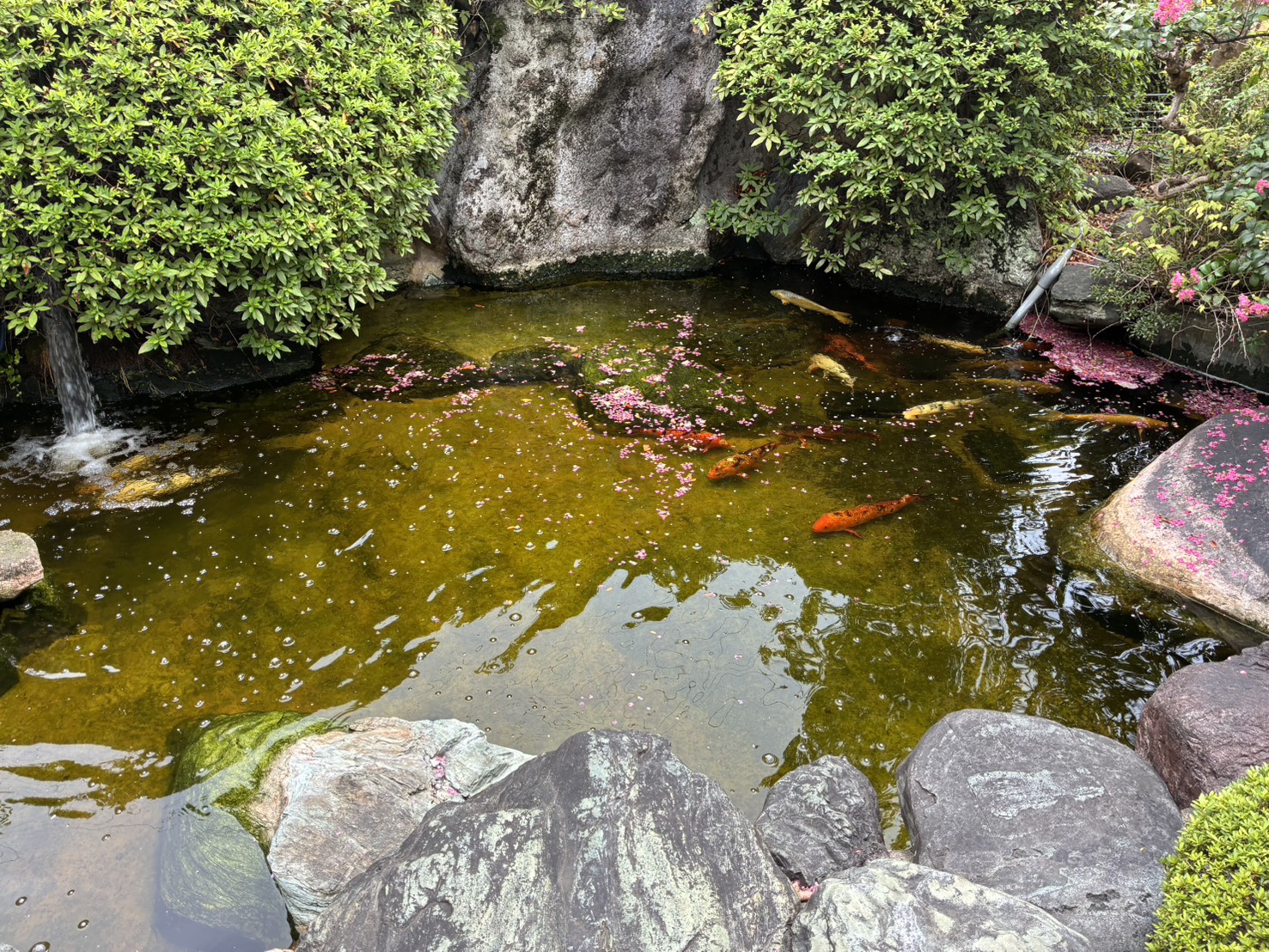 WA-THAI 寺院